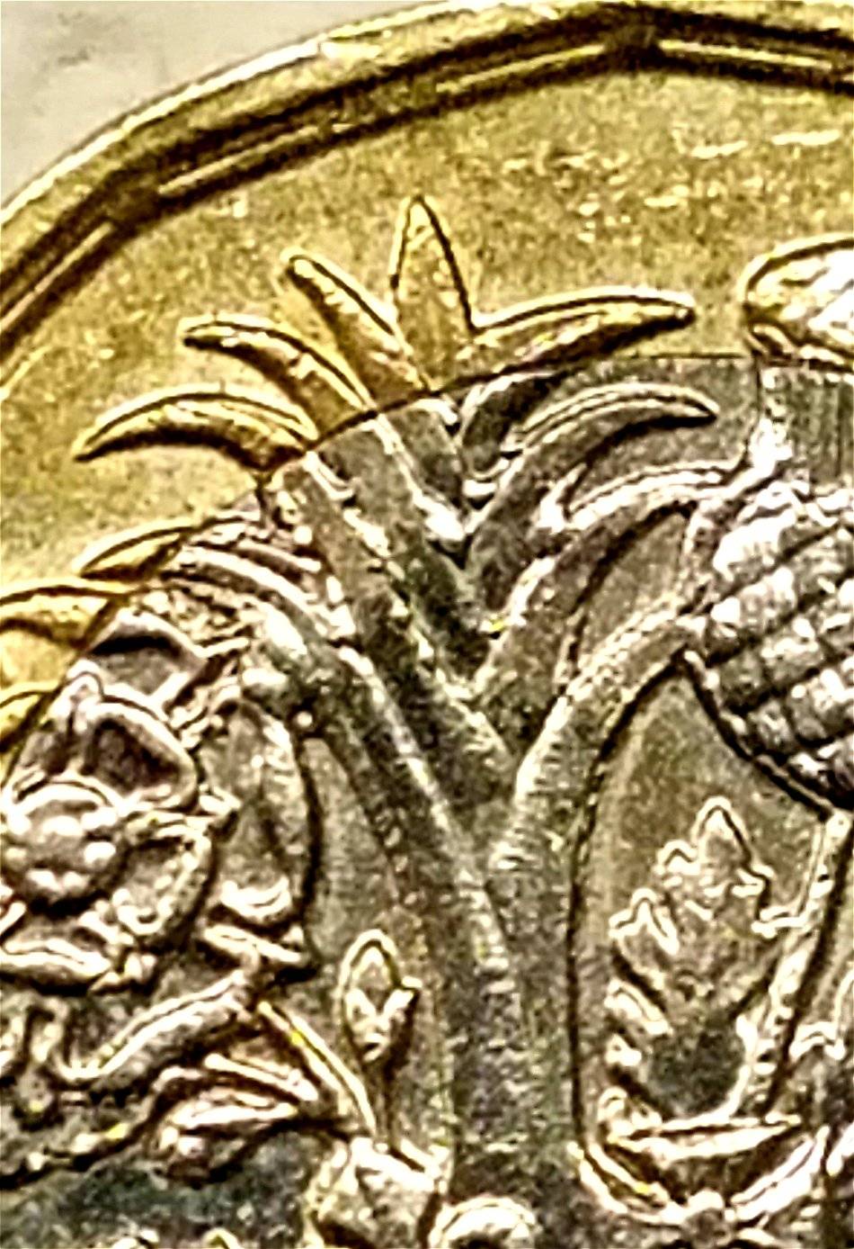 2017-Elizabeth-II-One-Pound-Design-Berms-On-Obverse-And-Reverse?